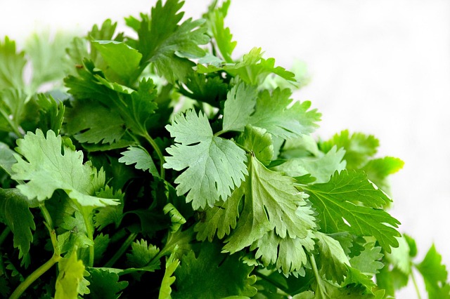 How to Keep Fresh Herbs Crispy Longer